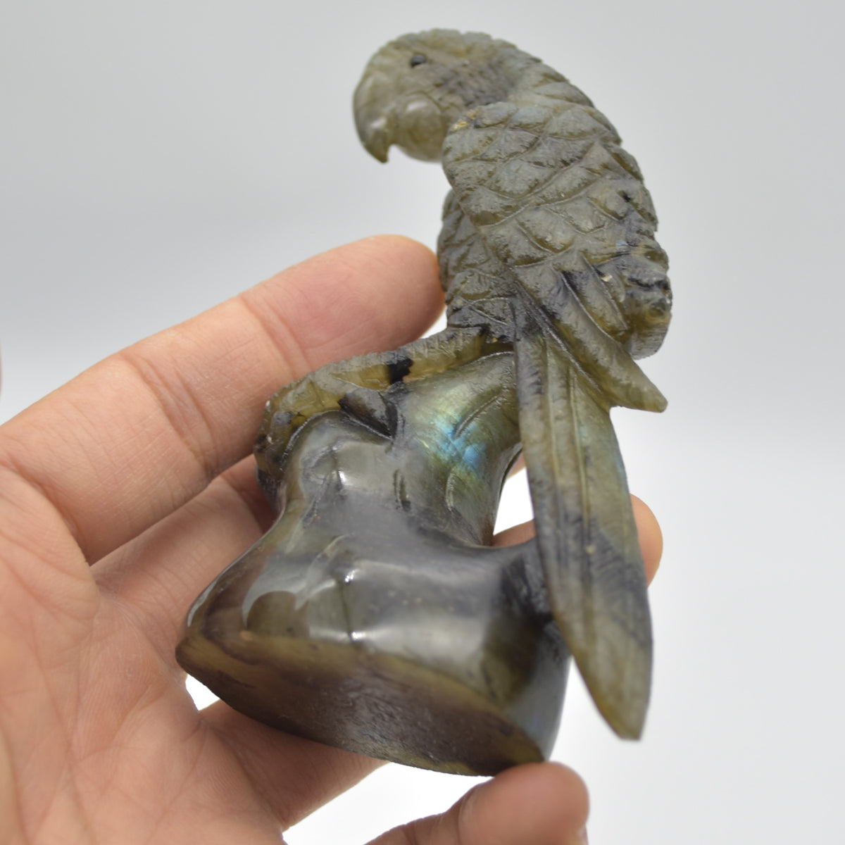 Labradorite Crystal Parrot on Branch - 9.5cm x 7cm x 3.5cm - 166 grams #06