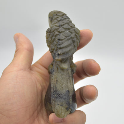 Labradorite Crystal Parrot on Branch - 9.5cm x 7cm x 3.5cm - 166 grams #06