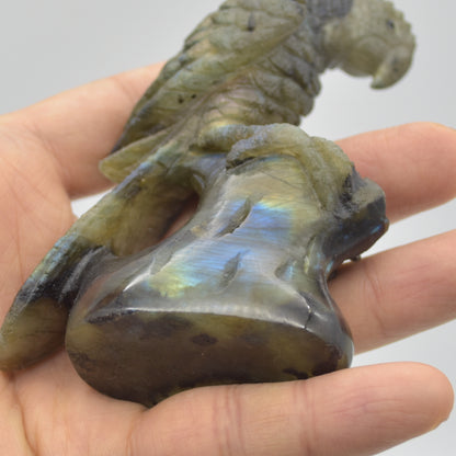 Labradorite Crystal Parrot on Branch - 9.5cm x 7cm x 3.5cm - 166 grams #06