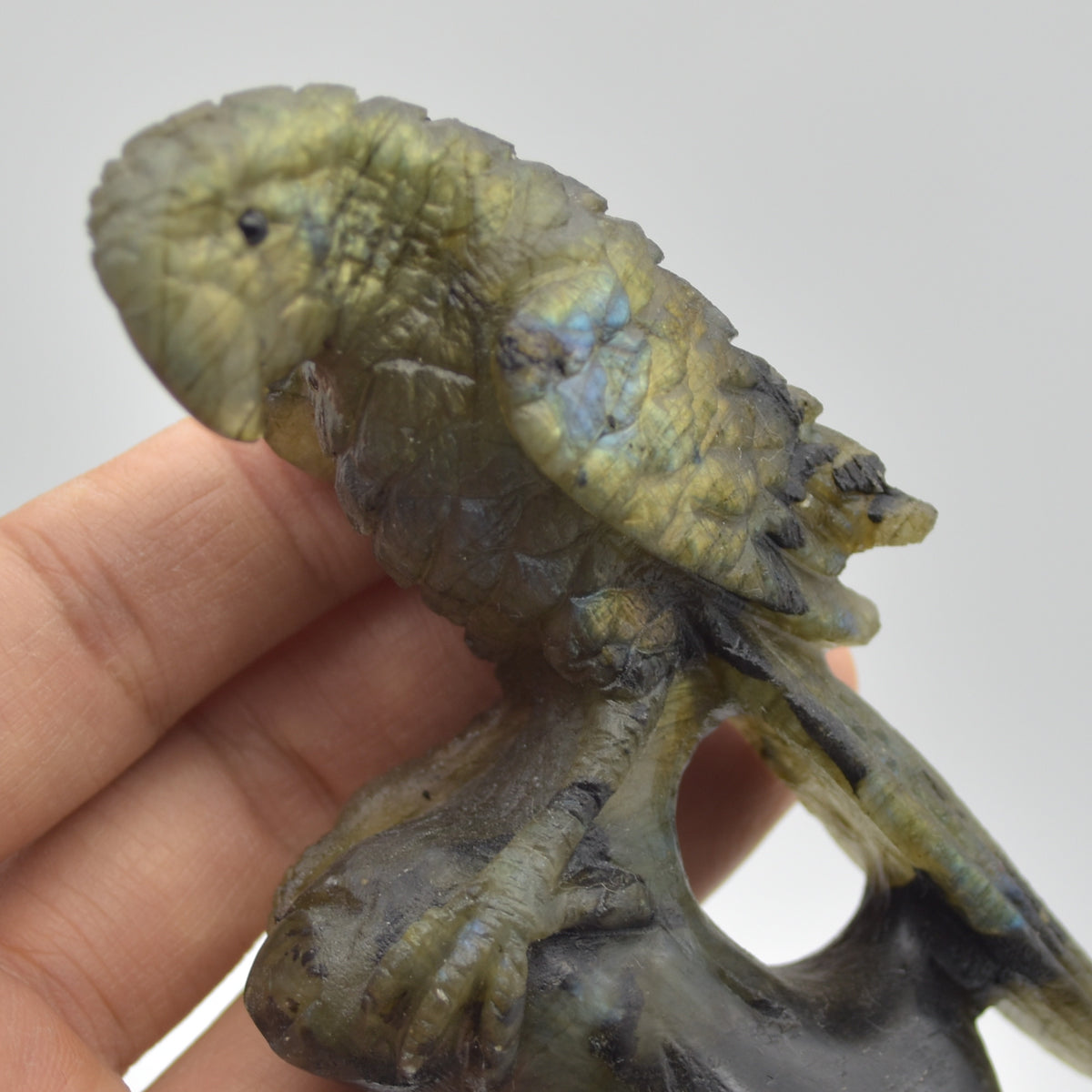 Labradorite Crystal Parrot on Branch - 9.5cm x 7cm x 3.5cm - 166 grams #06