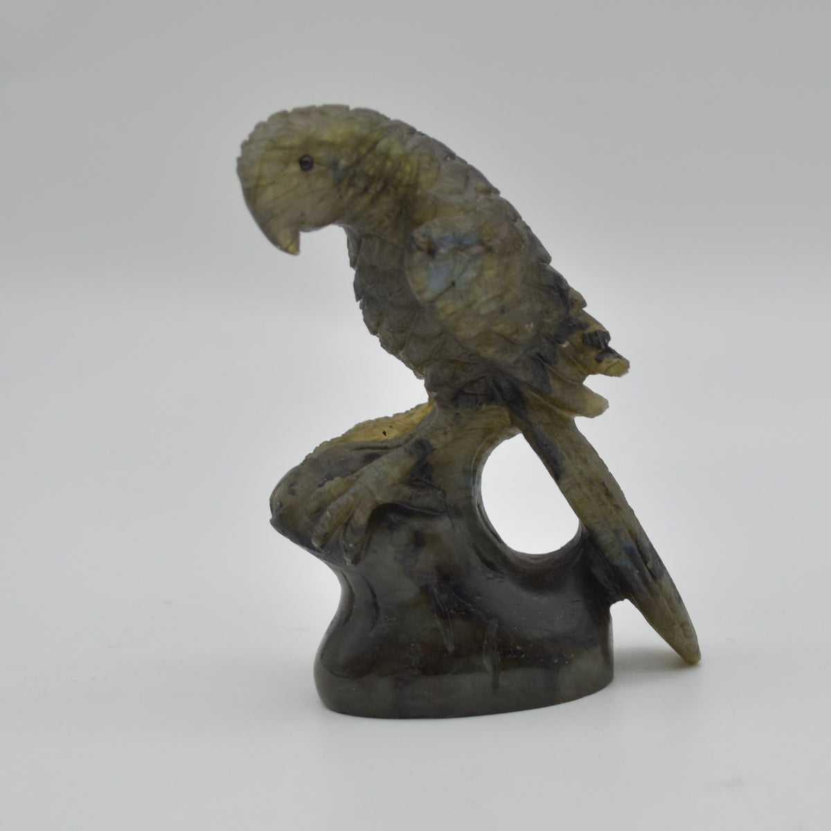 Labradorite Crystal Parrot on Branch - 9.5cm x 7cm x 3.5cm - 166 grams #06