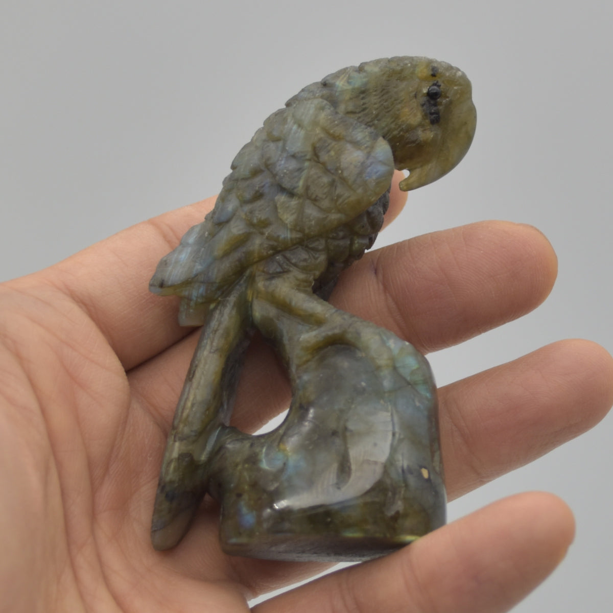 Labradorite Crystal Parrot on Branch - 8cm x 4.5cm x 3cm - 100 grams #09