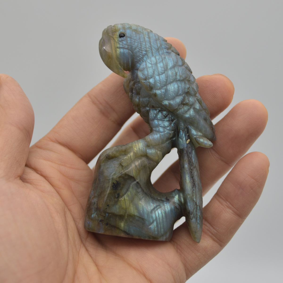 Labradorite Crystal Parrot on Branch - 8cm x 4.5cm x 3cm - 100 grams #09