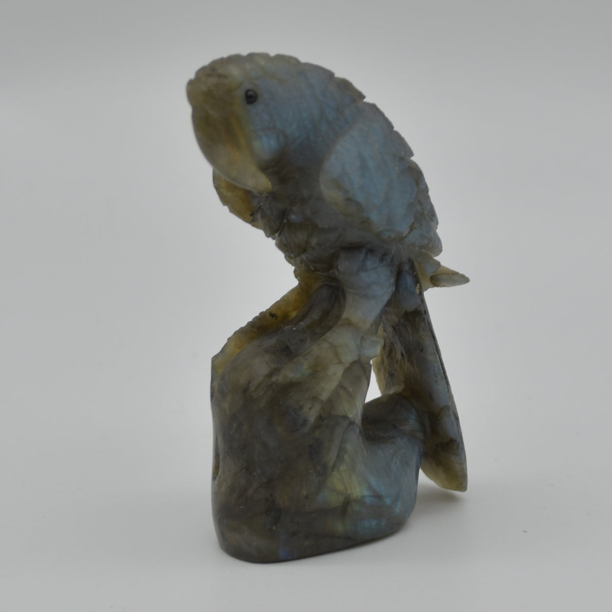 Labradorite Crystal Parrot on Branch - 8cm x 4.5cm x 3cm - 100 grams #09