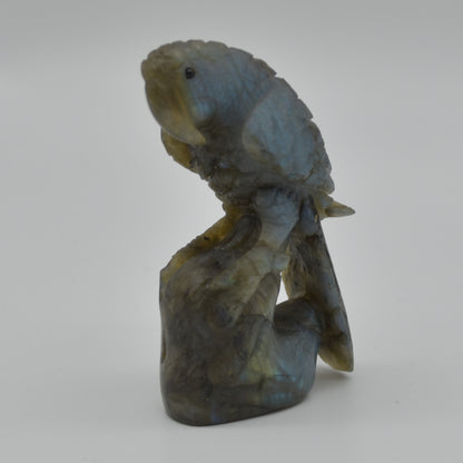 Labradorite Crystal Parrot on Branch - 8cm x 4.5cm x 3cm - 100 grams #09