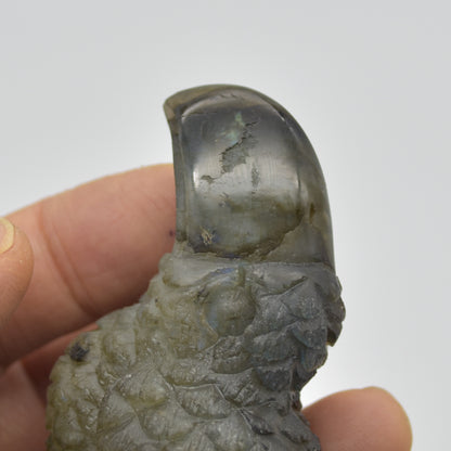Labradorite Crystal Toucan on Rock - 7cm x 6cm x 3cm - 112 grams #03