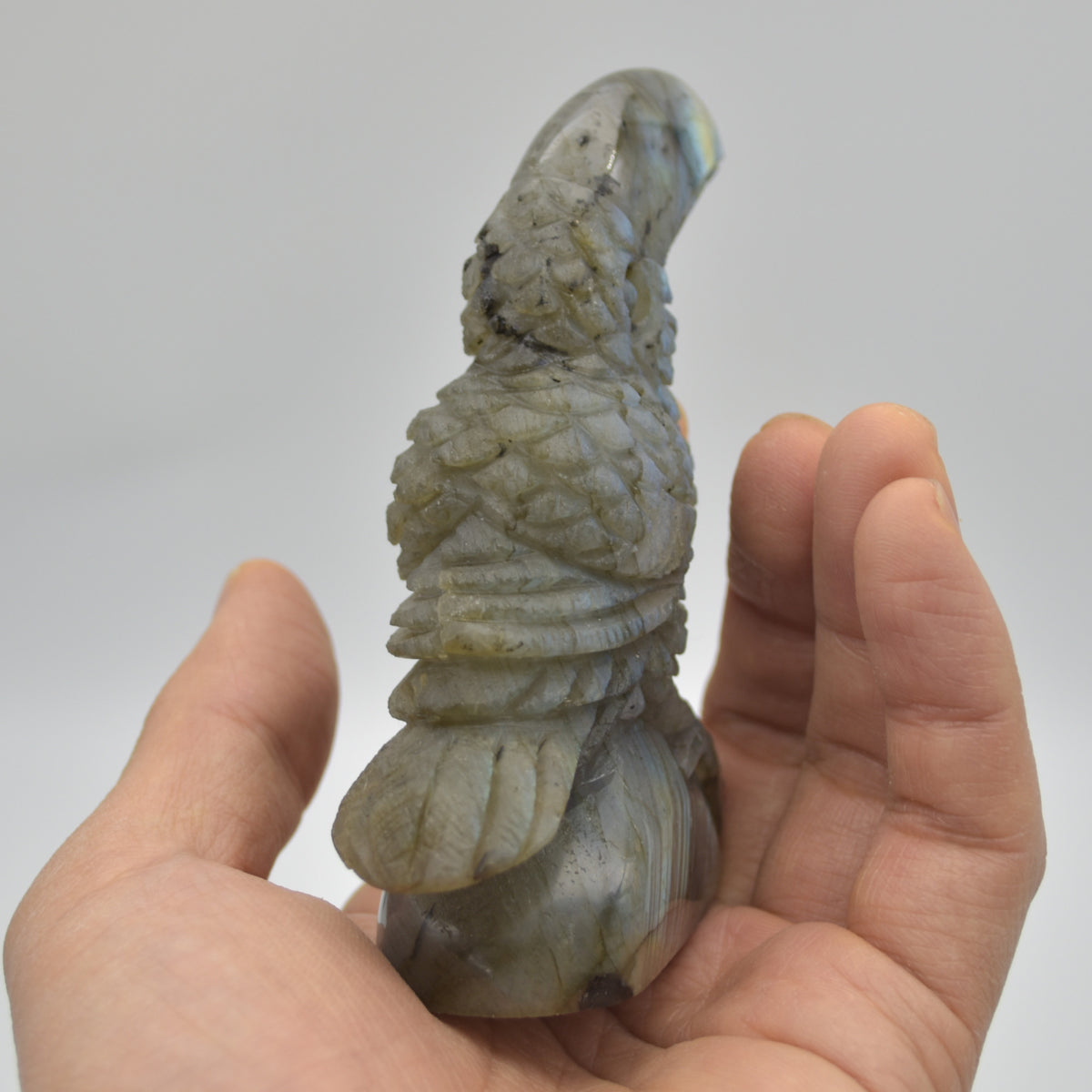 Labradorite Crystal Toucan on Rock - 9cm x 8.5cm x 3cm - 183 grams #04
