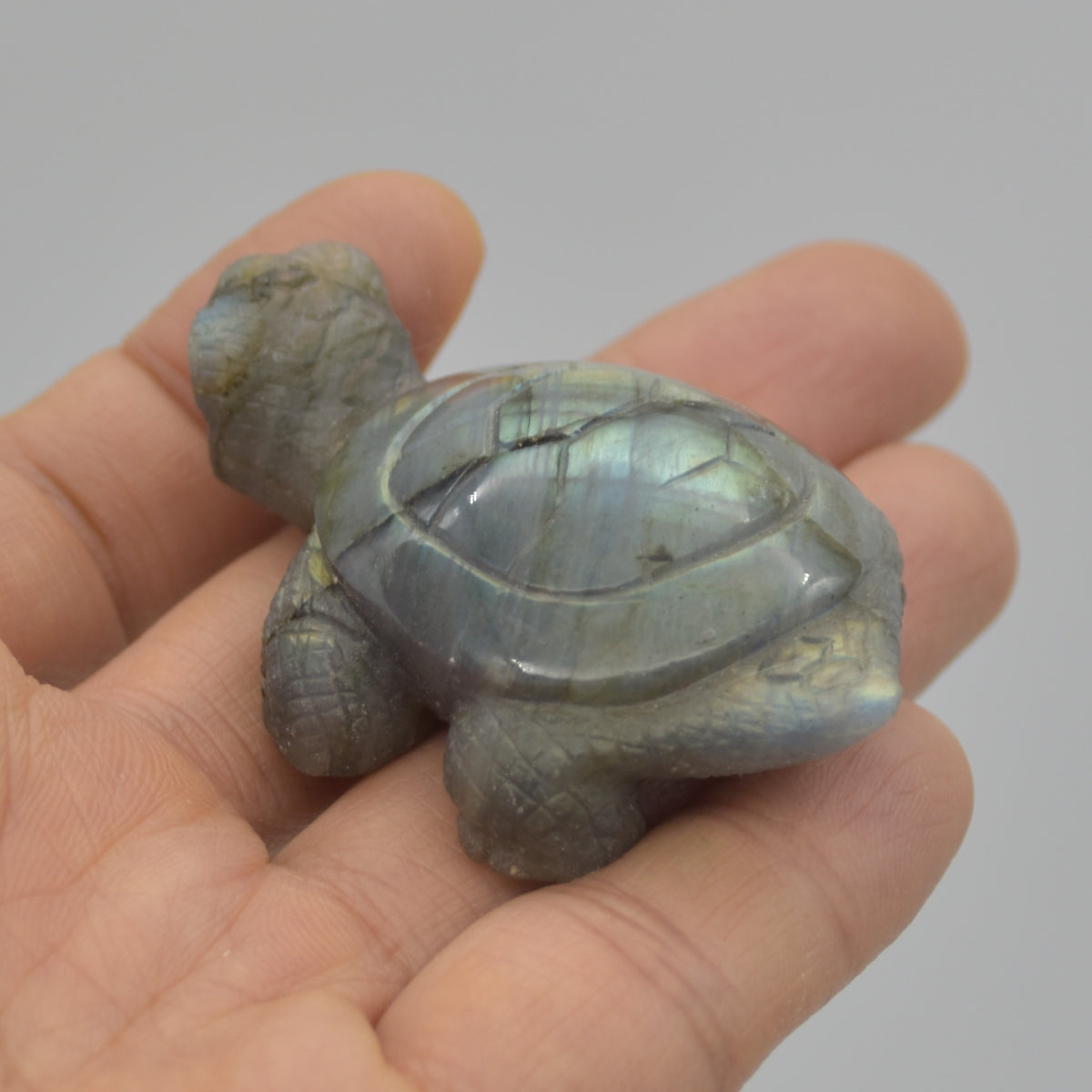 Labradorite Crystal Turtle - 2cm x 5.5cm x 4cm - 47 grams #01
