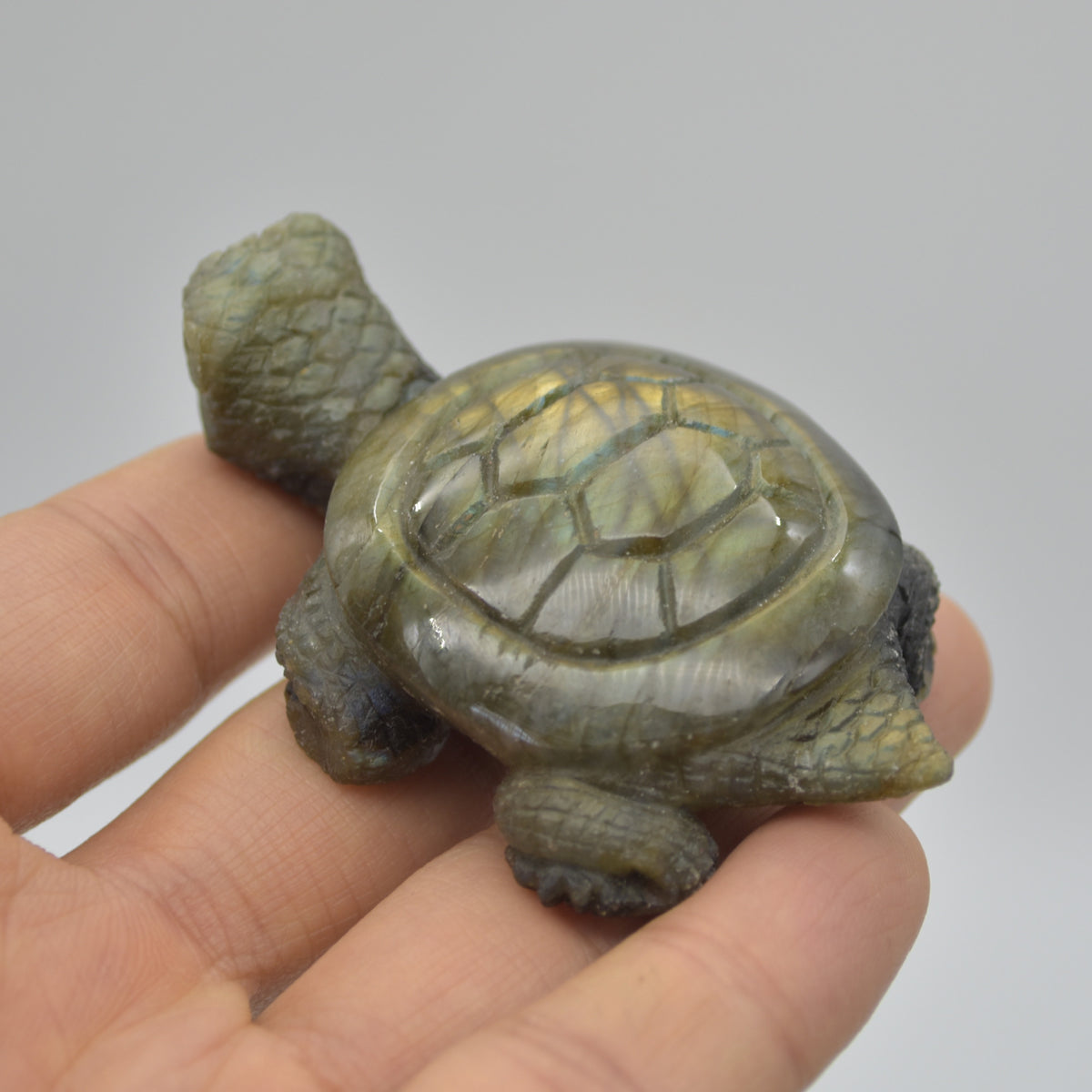 Labradorite Crystal Turtle - 2cm x 7cm x 4.5cm - 63 grams #02