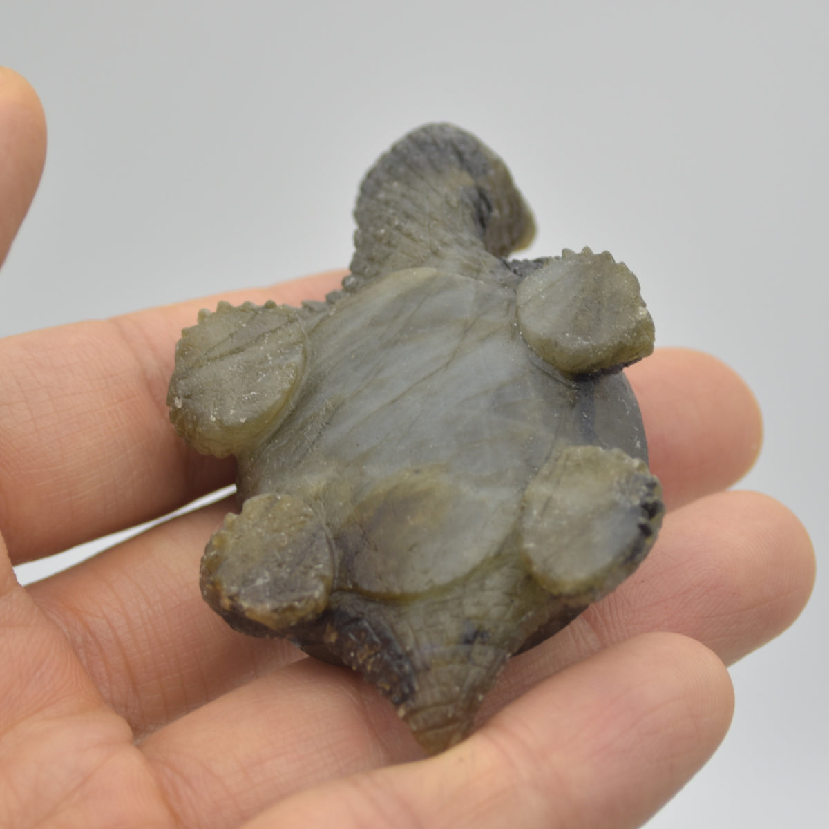 Labradorite Crystal Turtle - 2cm x 7cm x 4.5cm - 63 grams #02