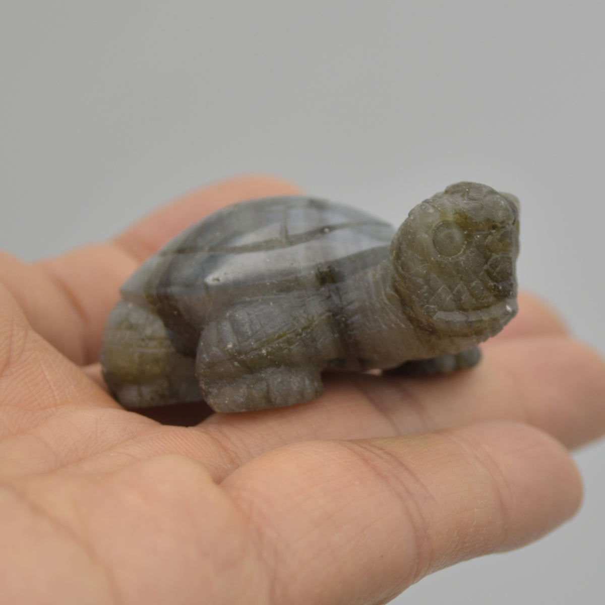 Labradorite Crystal Turtle - 2cm x 7cm x 4.5cm - 63 grams #02