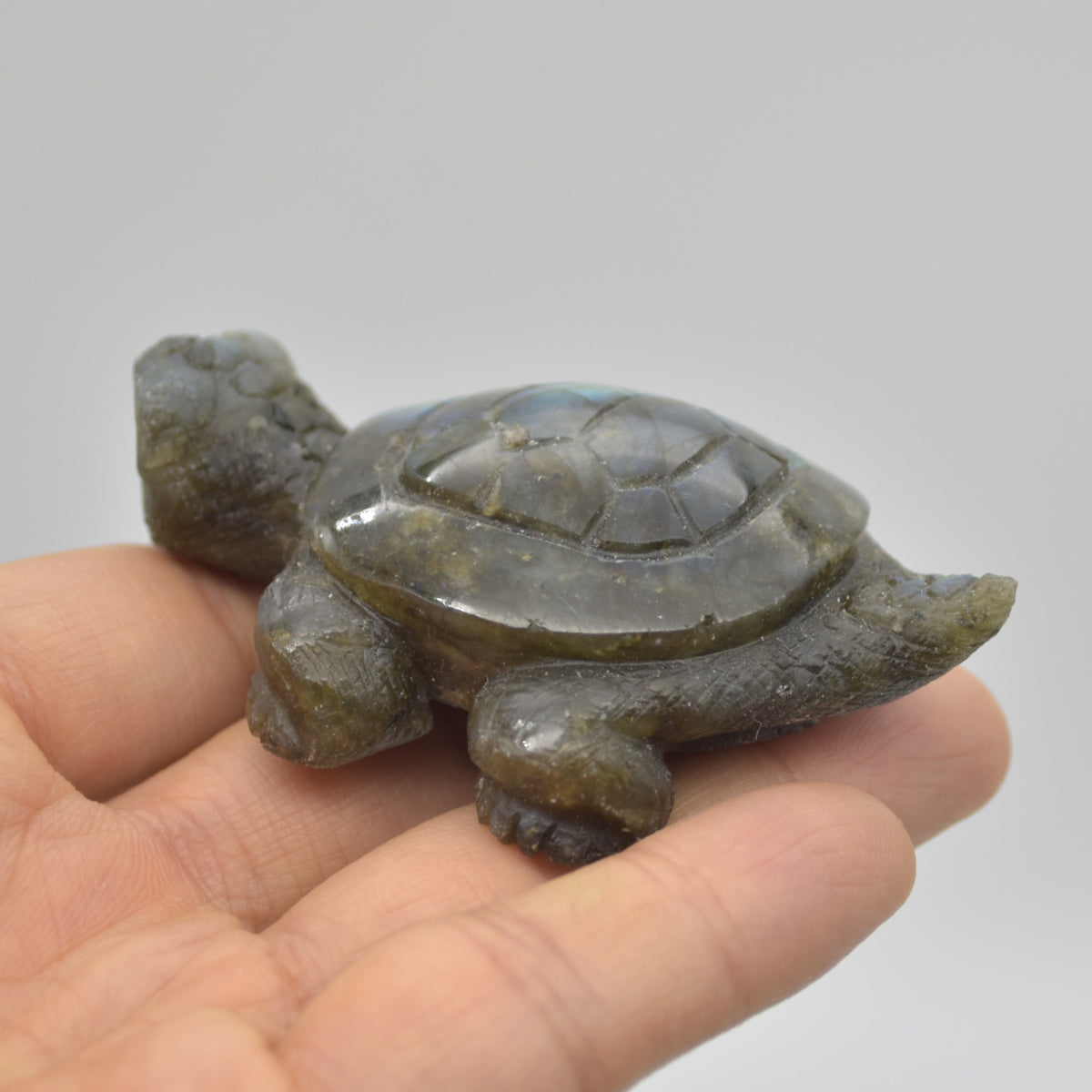 Labradorite Crystal Turtle - 2.5cm x 7.5cm x 5cm x - 83 grams #03