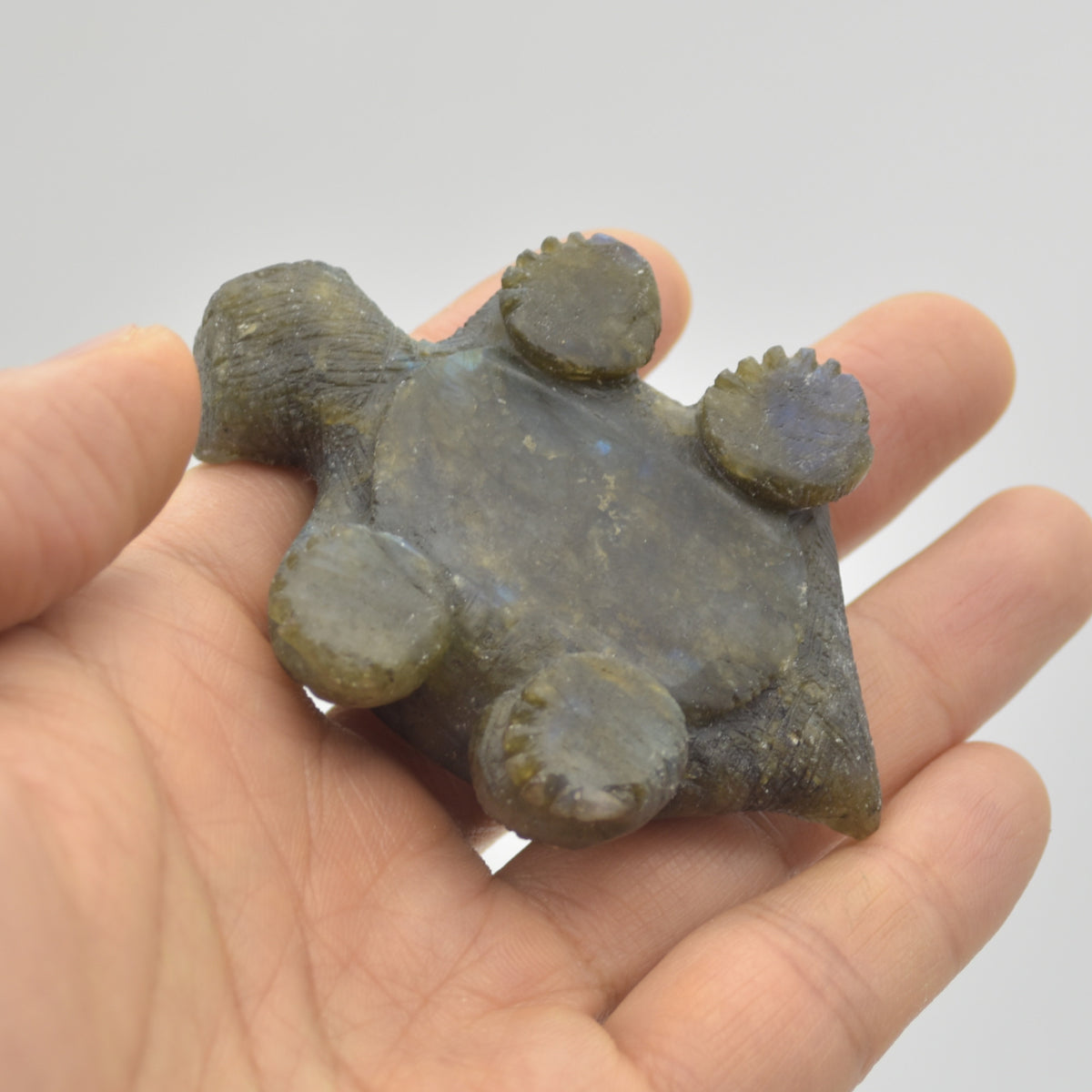 Labradorite Crystal Turtle - 2.5cm x 7.5cm x 5cm x - 83 grams #03