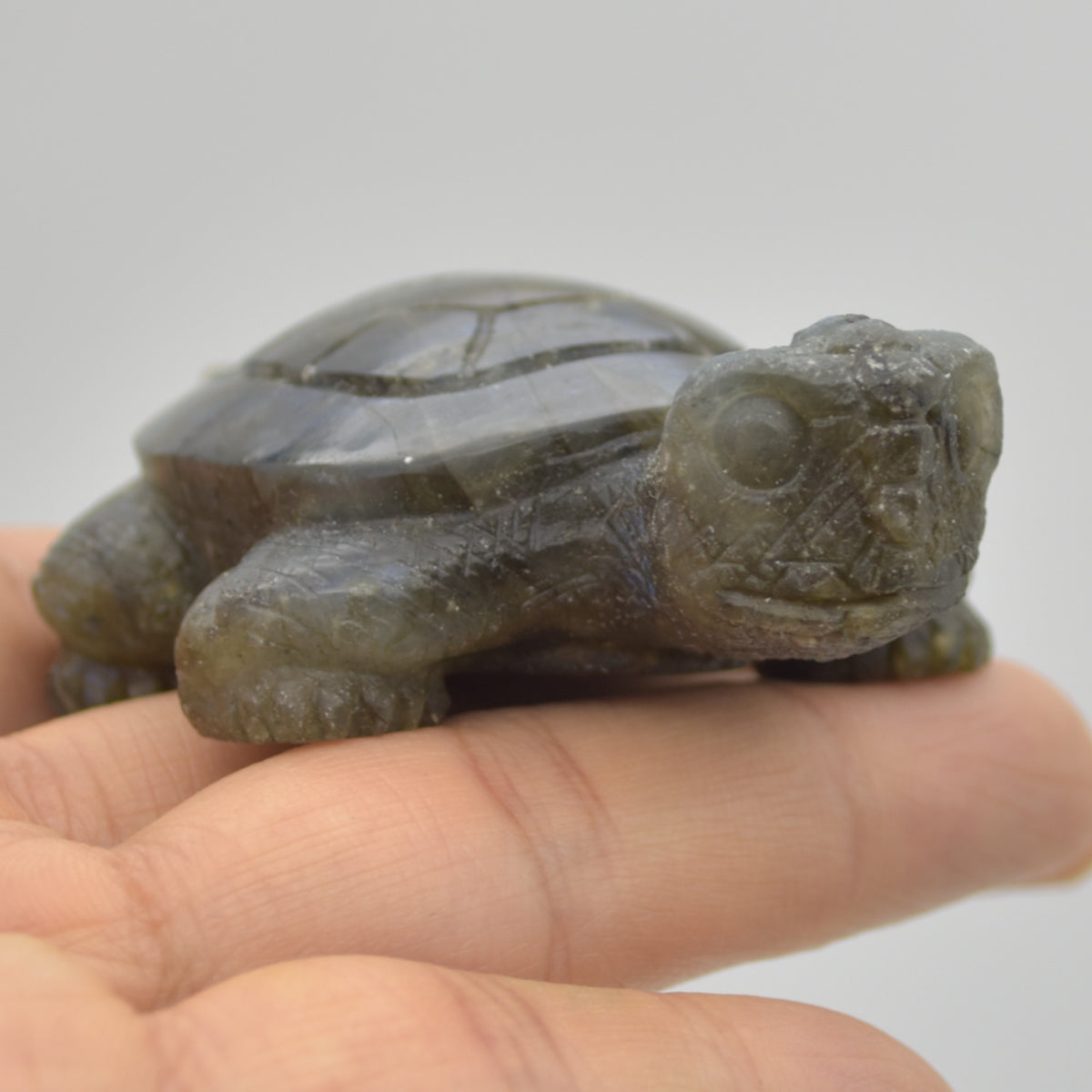 Labradorite Crystal Turtle - 2.5cm x 7.5cm x 5cm x - 83 grams #03