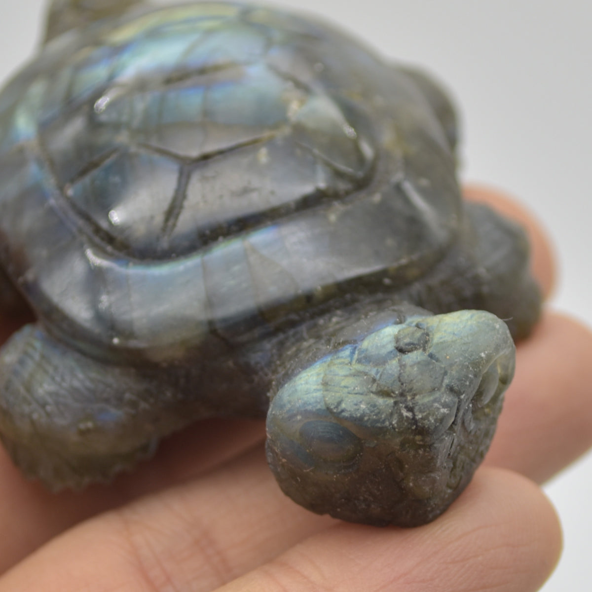 Labradorite Crystal Turtle - 2.5cm x 7.5cm x 5cm x - 83 grams #03