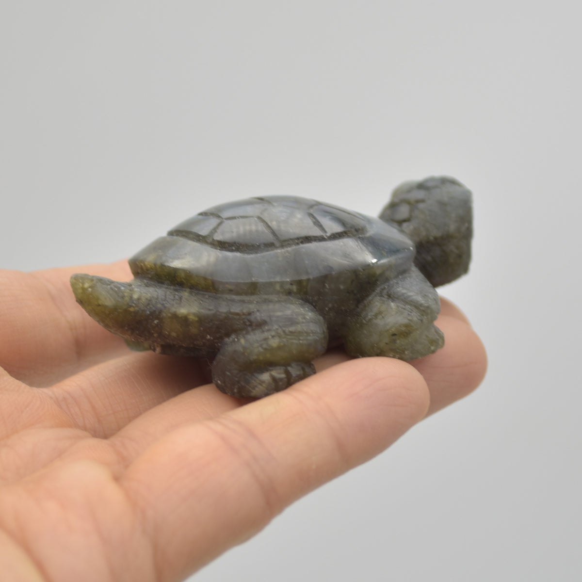 Labradorite Crystal Turtle - 2.5cm x 7.5cm x 5cm x - 83 grams #03