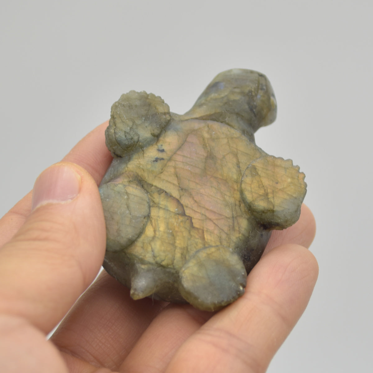 Labradorite Crystal Turtle - 2cm x 7cm x 5cm x - 72 grams #05