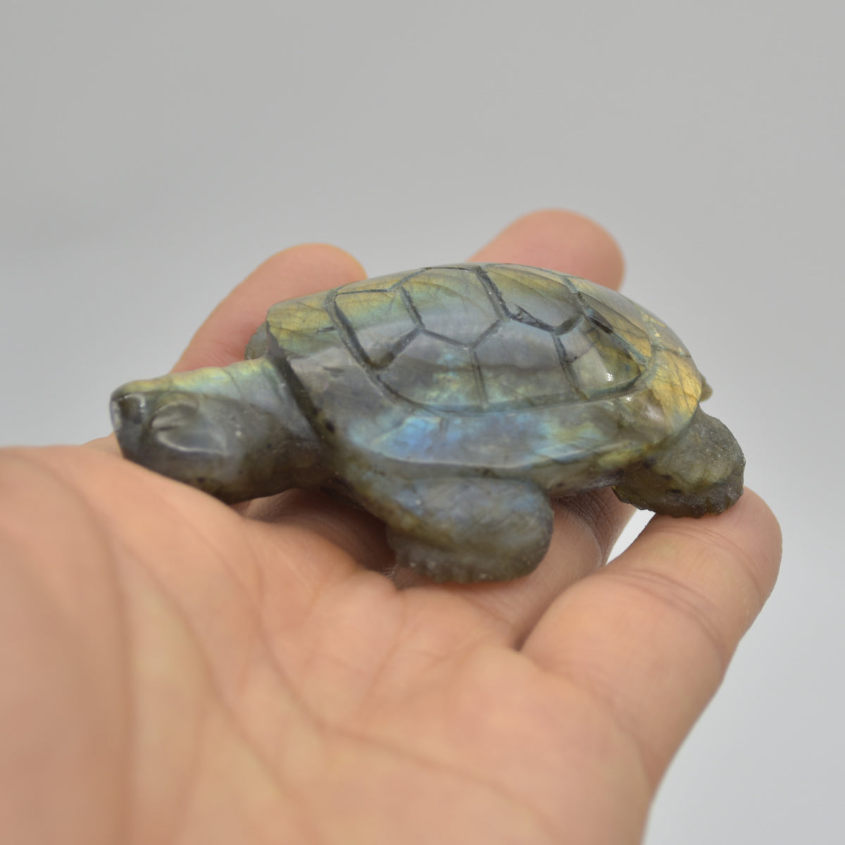 Labradorite Crystal Turtle - 2cm x 7cm x 5cm x - 72 grams #05