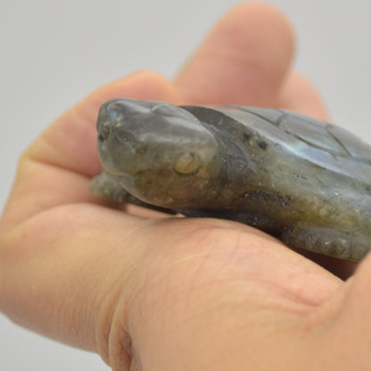 Labradorite Crystal Turtle - 2cm x 7cm x 5cm x - 72 grams #05