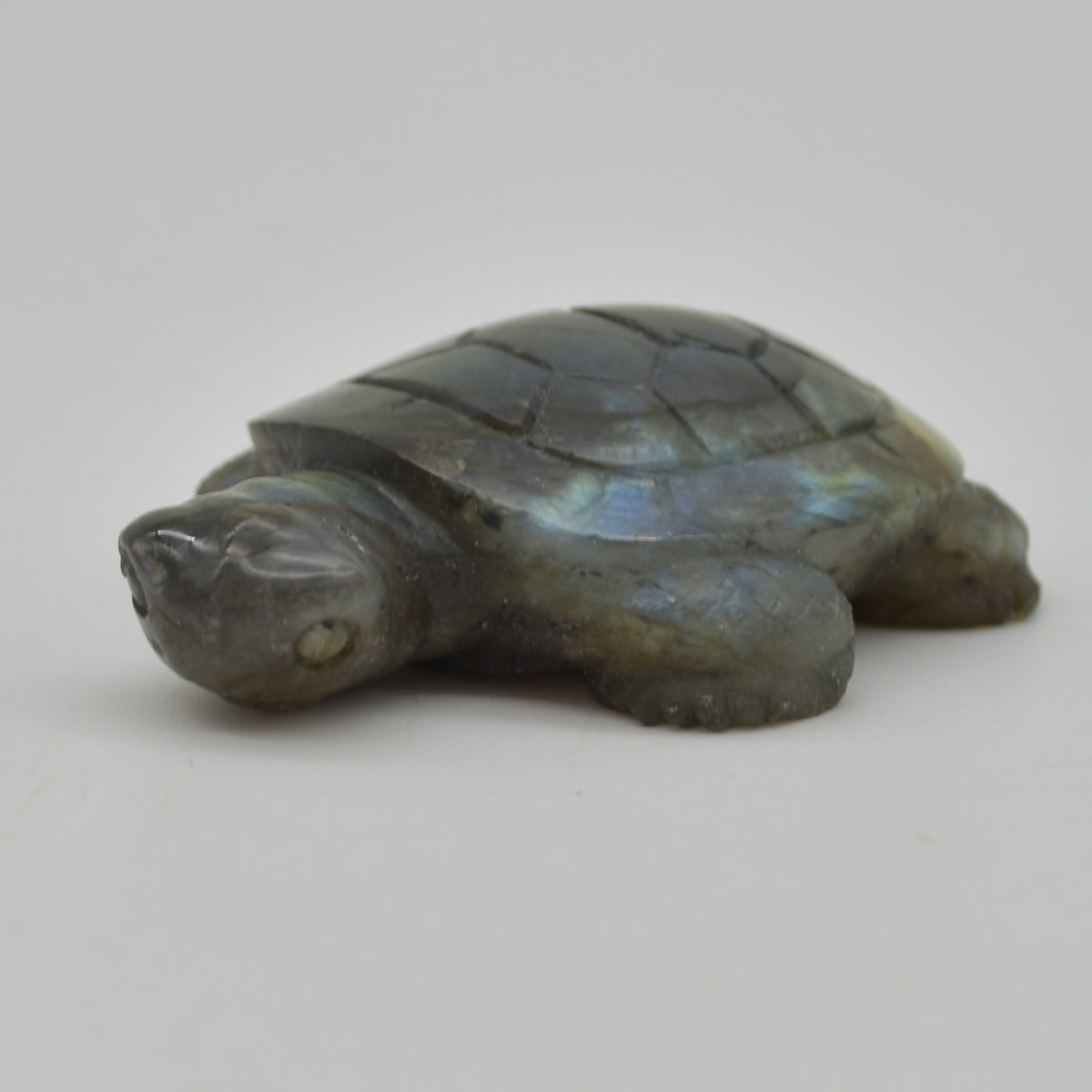 Labradorite Crystal Turtle - 2cm x 7cm x 5cm x - 72 grams #05
