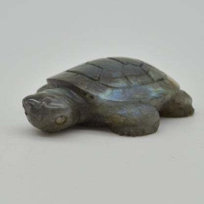 Labradorite Crystal Turtle - 2cm x 7cm x 5cm x - 72 grams #05