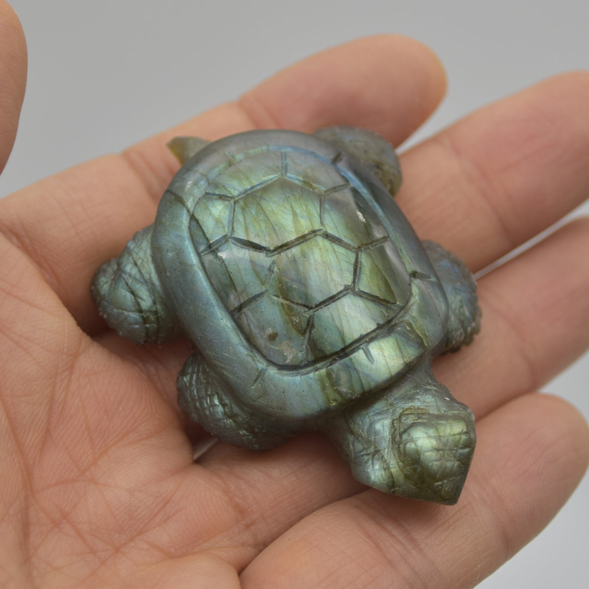 Labradorite Crystal Turtle - 1.7cm x 5.5cm x 4cm x - 40 grams #06