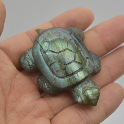 Labradorite Crystal Turtle - 1.7cm x 5.5cm x 4cm x - 40 grams #06