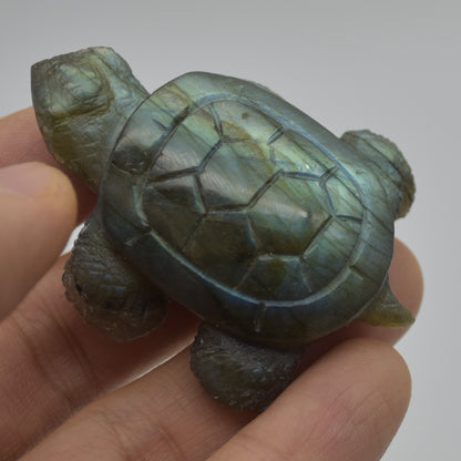 Labradorite Crystal Turtle - 1.7cm x 5.5cm x 4cm x - 40 grams #06
