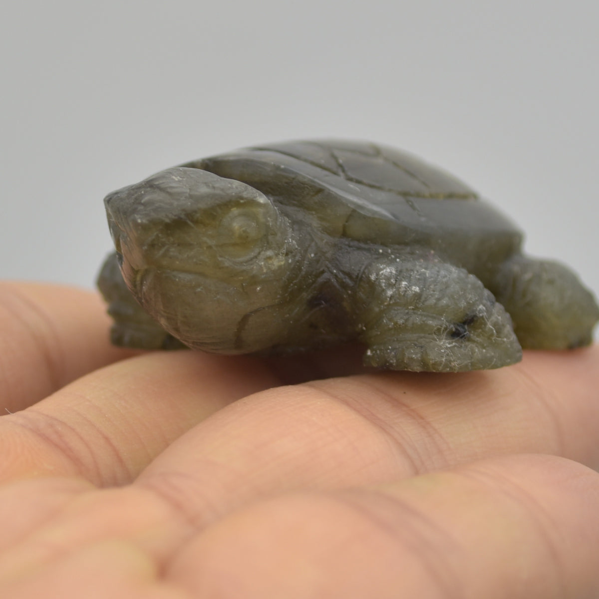 Labradorite Crystal Turtle - 1.7cm x 5.5cm x 4cm x - 40 grams #06