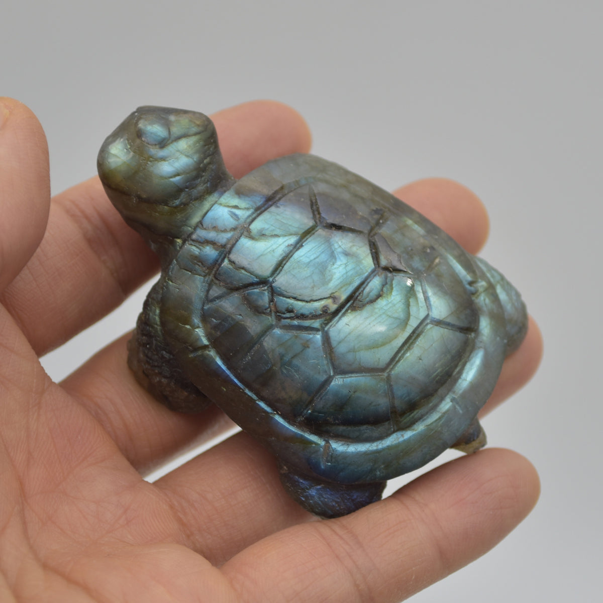 Labradorite Turtle - 2.5cm x 7.5cm x 5cm - 94 grams #07