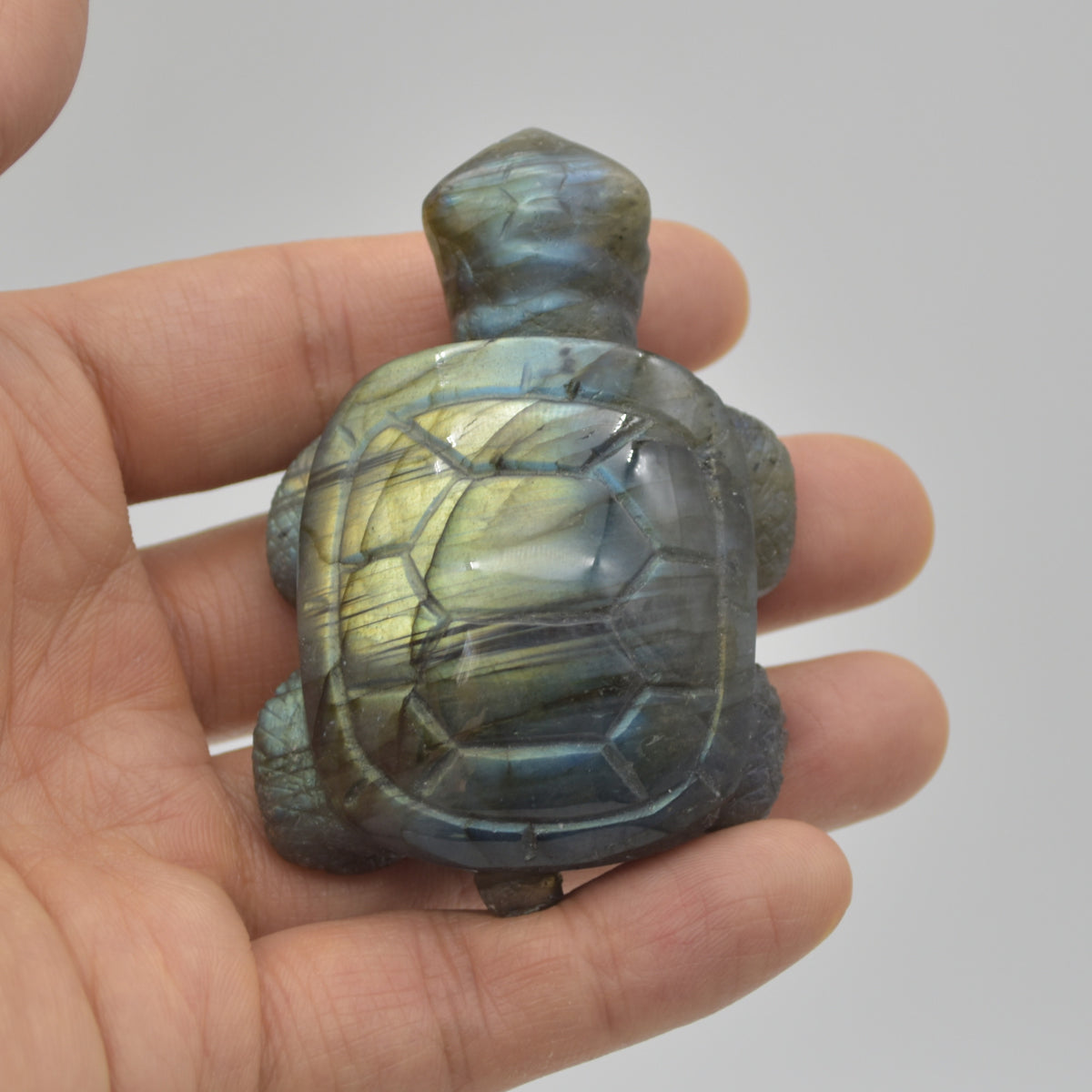 Labradorite Crystal Turtle - 3cm x 6.5cm x 4.5cm - 91 grams #08