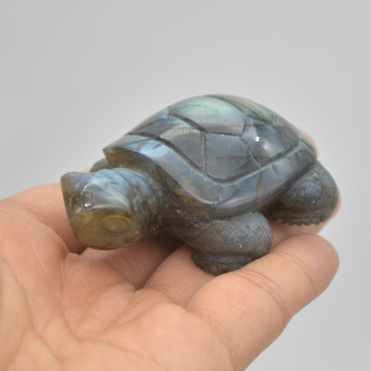 Labradorite Crystal Turtle - 3cm x 6.5cm x 4.5cm - 91 grams #08