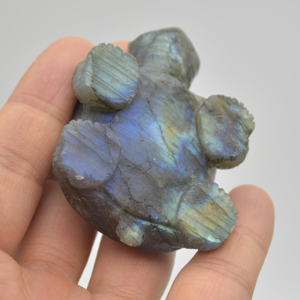 Labradorite Crystal Turtle - 3cm x 6.5cm x 4.5cm - 91 grams #08