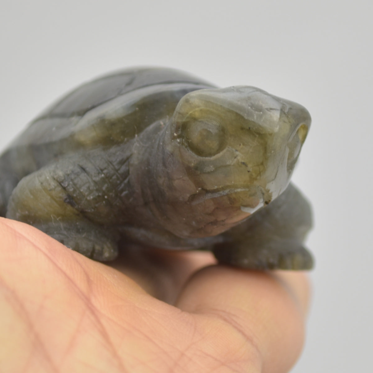 Labradorite Crystal Turtle - 3cm x 6.5cm x 4.5cm - 91 grams #08