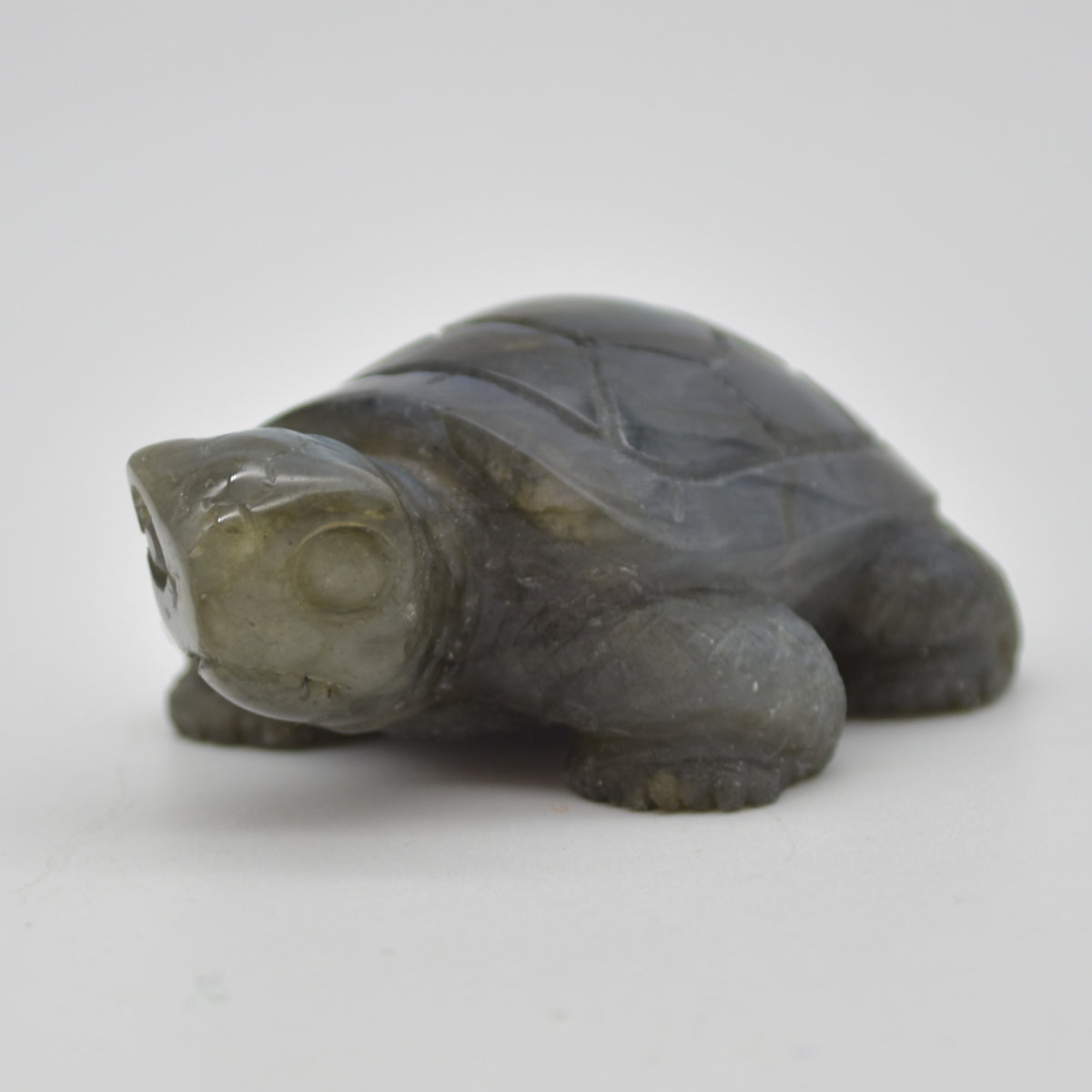 Labradorite Crystal Turtle - 3cm x 6.5cm x 4.5cm - 91 grams #08