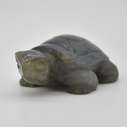 Labradorite Crystal Turtle - 3cm x 6.5cm x 4.5cm - 91 grams #08