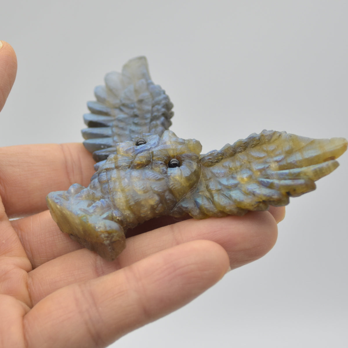 Labradorite Crystal Wide Winged Owl - 6cm x 8.5cm x 1.5cm - 51 grams #02