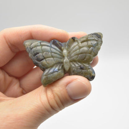 Labradorite Butterfly - 25 grams - 5cm x 3cm x 1cm