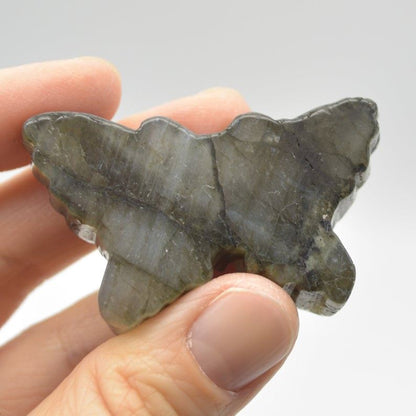 Labradorite Butterfly - 31.5 grams - 5cm x 3cm x 1cm