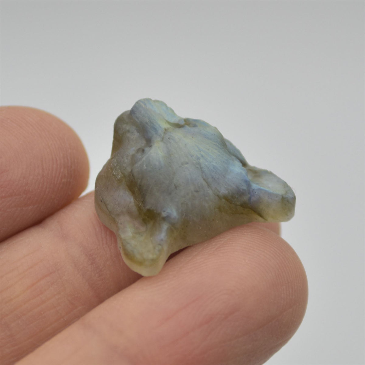 Labradorite Big Cat Head - 2cm x 2cm x 0.9cm - 4.2 grams