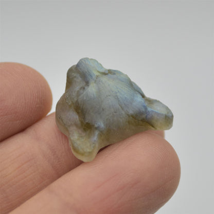 Labradorite Big Cat Head - 2cm x 2cm x 0.9cm - 4.2 grams