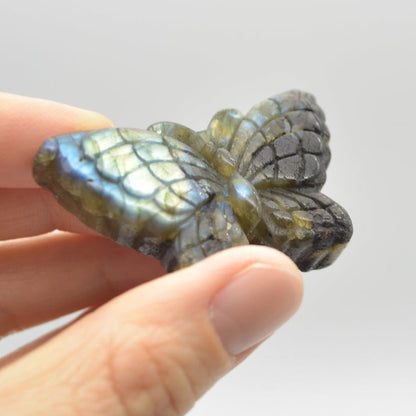 Labradorite Butterfly - 23 grams - 5cm x 3cm x 1cm