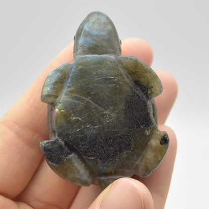 Labradorite Turtle - 5.5cm x 3.5cm x 2.5cm - 61 grams