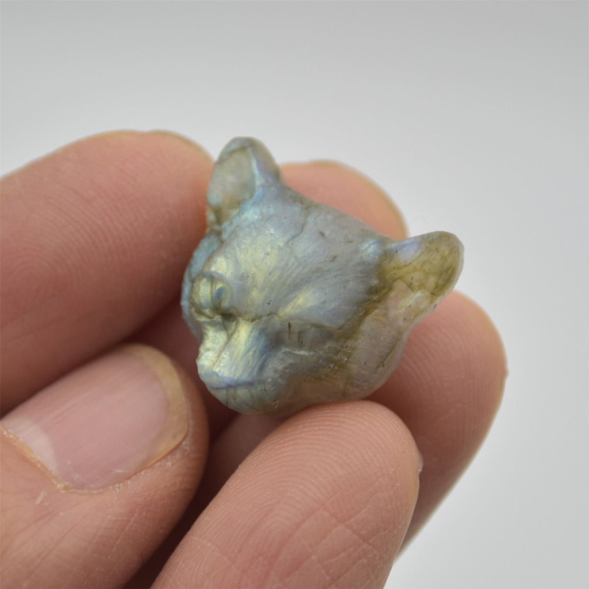 Labradorite Big Cat Head - 2cm x 2cm x 0.9cm - 4.2 grams