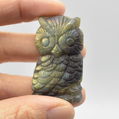 Labradorite Owl - 22 grams - 4.5cm x 2.5cm x 0.9cm #024