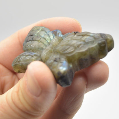 Labradorite Butterfly - 25 grams - 5cm x 3cm x 1cm