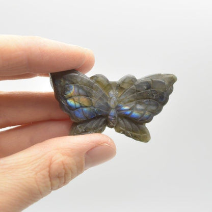 Labradorite Butterfly - 23 grams - 5cm x 3cm x 1cm