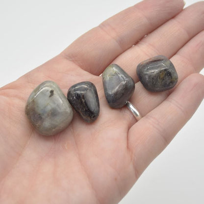 Iolite Tumbled Pebble Stones - 4 Count #01