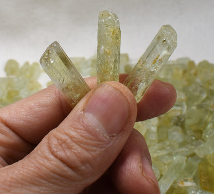 Heliodor Raw Green Yellow Beryl Small Crystal Specimens - 1 Count - 3 Sizes
